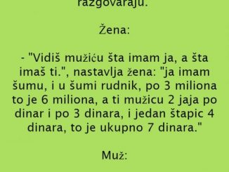 VIC DANA: Muž i žena