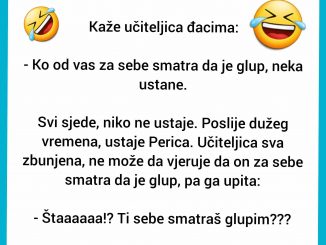 Kaže učiteljica đacima: