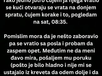 “Svako jutro muž ide na posao oko 7 a ja ne ustanem iz kreveta prije 9-10 . 
