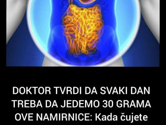 Čak 70 posto naših imunoloških ćelija nalazi se u našim crijevima