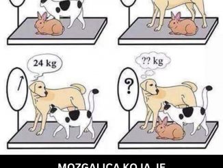 Društvenim mrežama kruži zanimljiva mozgalica koja će vam navodno