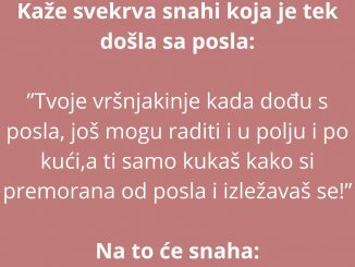 Kaže svekrva snahi koja je tek došla sa posla: