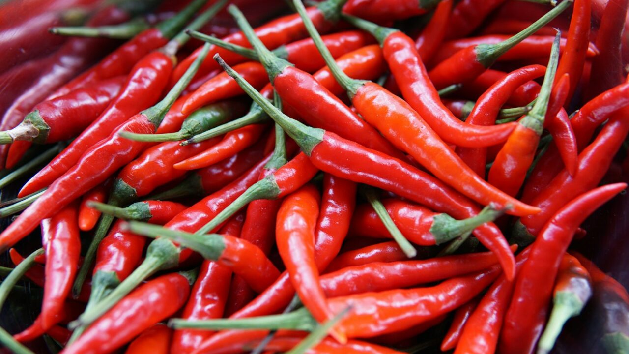 Zašto ljuta paprika peče